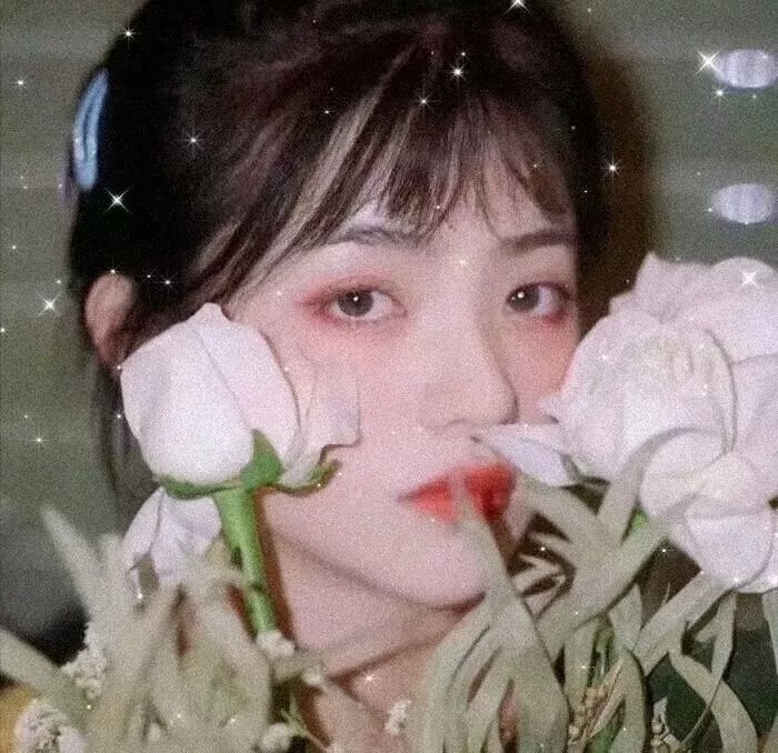 绝代双骄